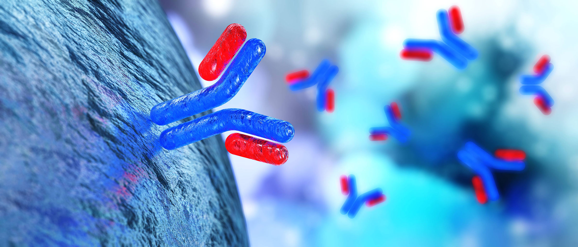 red and blue cells floating to indicate immunogenicity